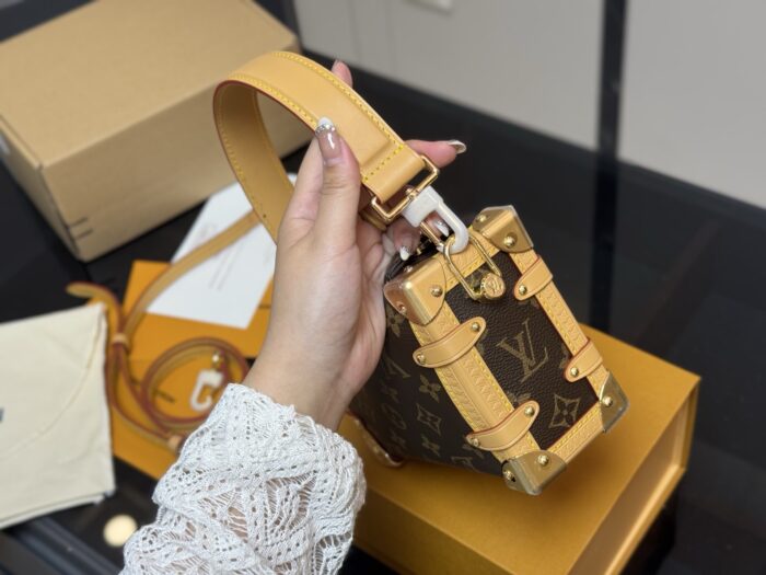 Louis Vuitton Replica Mini Soft Case Original Steel Hardware Timeless Bestseller - Image 6