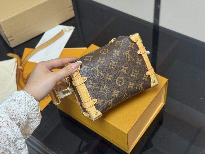 Louis Vuitton Replica Mini Soft Case Original Steel Hardware Timeless Bestseller - Image 7