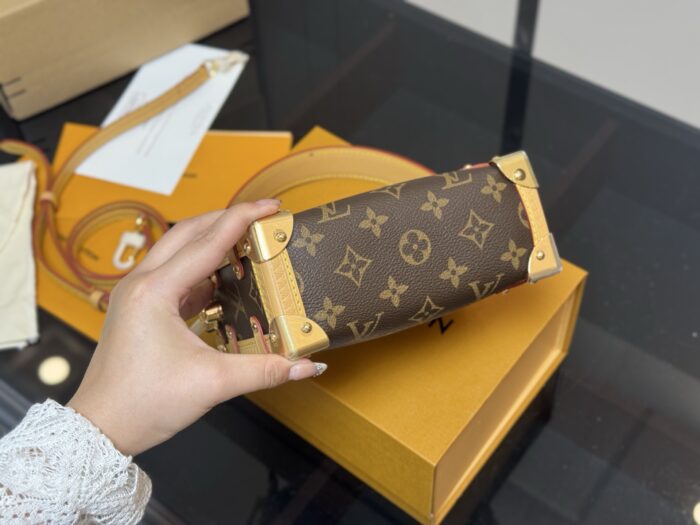 Louis Vuitton Replica Mini Soft Case Original Steel Hardware Timeless Bestseller - Image 8