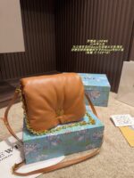 Loewe Goya Cloud Pillow Bag Goose Down-Filled Detachable Gold Chain Soft And Plush