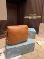 Loewe Goya Cloud Pillow Bag Goose Down-Filled Detachable Gold Chain Soft And Plush - Image 5