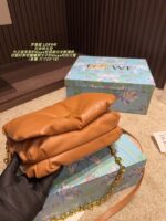 Loewe Goya Cloud Pillow Bag Goose Down-Filled Detachable Gold Chain Soft And Plush - Image 6