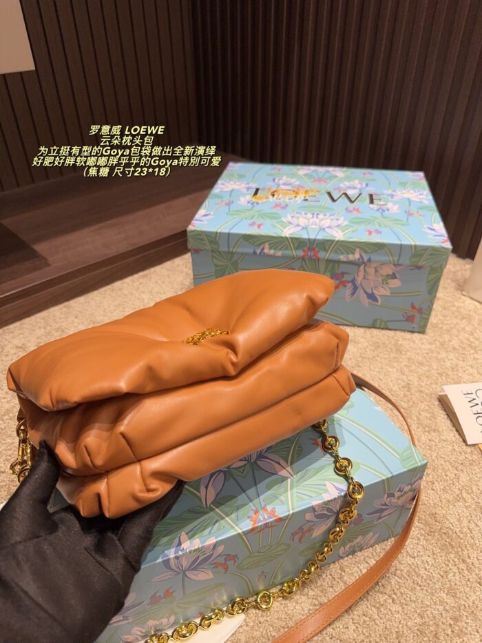 Loewe Goya Cloud Pillow Bag Goose Down-Filled Detachable Gold Chain Soft And Plush - Image 6