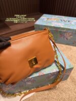 Loewe Goya Cloud Pillow Bag Goose Down-Filled Detachable Gold Chain Soft And Plush - Image 8