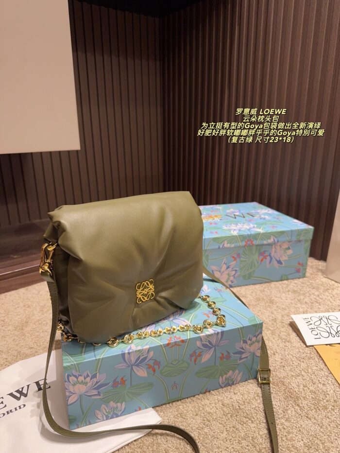Loewe Goya Cloud Pillow Bag Goose Down-Filled Detachable Gold Chain Soft And Plush - Image 14