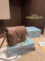 Loewe Goya Cloud Pillow Bag Goose Down-Filled Detachable Gold Chain Soft And Plush - Image 16