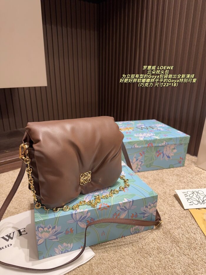 Loewe Goya Cloud Pillow Bag Goose Down-Filled Detachable Gold Chain Soft And Plush - Image 16