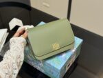 Loewe Gate Bag - New Calfskin Shoulder Strap Crossbody Bag - Image 14