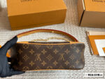 Louis Vuitton Monogram Horn Bag Chip Edition Vintage Crossbody Shoulder Bag - Image 5