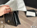 Chanel 24 New Fortune Bag - Metal Handle Woc Lambskin With Box - Image 2