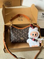 Coach Laurel 19 Mini Wander Bag - New Everyday Crossbody Style - Image 3
