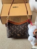 Coach Laurel 19 Mini Wander Bag - New Everyday Crossbody Style - Image 4