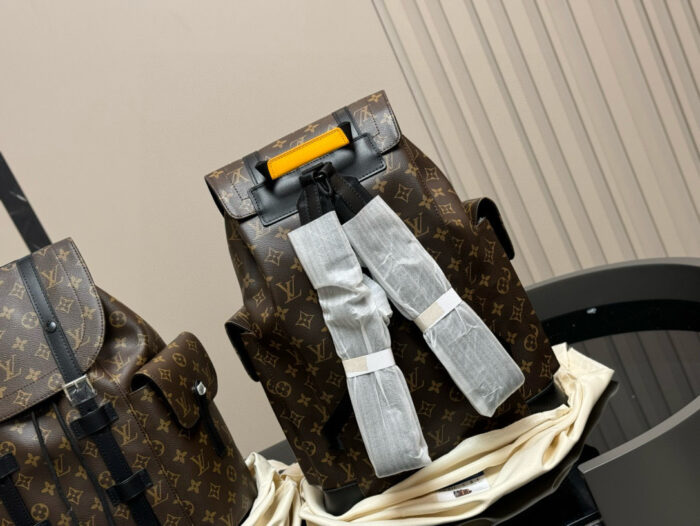 Louis Vuitton Classic Fabric Backpack Sophisticated And Elegant Comfortable To The Touch - Image 8