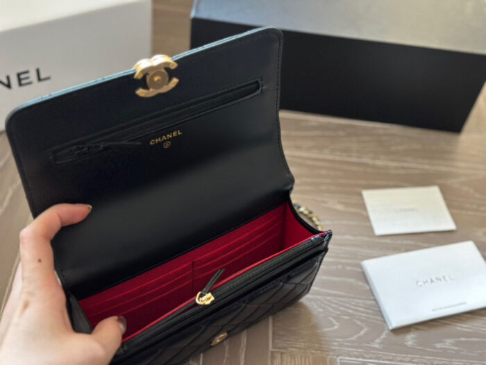 Chanel Double Ball Woc Diamond Quilting Double Chain Adjustable Crossbody Bag - Image 9