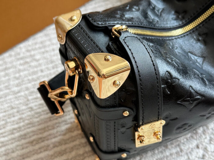 Louis Vuitton Trunk Replica Edition Runway Soft Case Timeless Bestseller - Image 5