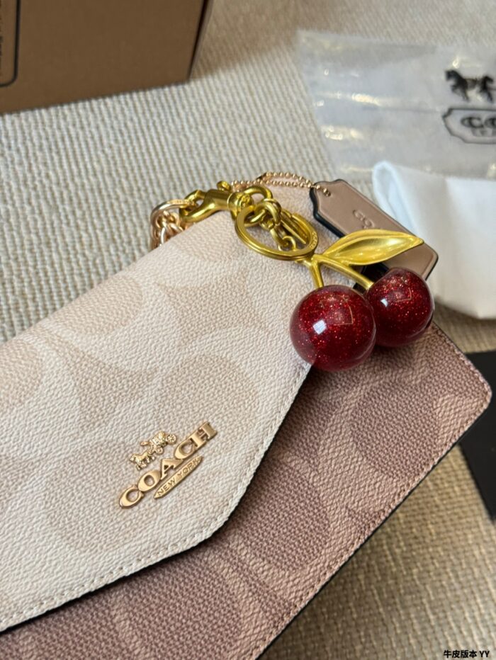 Coach Kalre Accordion Envelope Bag | Classic Colour | Exquisite Elegance - Image 6