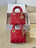 Dior Lady Lambskin Handbag Exquisite Lady-Like Style Stunning Hardware Adjustable Shoulder Strap - Image 13