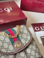 Gucci Ophidia Series Reissue Cowhide Backpack Adorable Yet Spacious - Image 6
