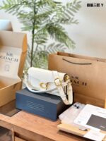 Coach Tabby Dionysus Bag: Minimalist, Sophisticated, Lightweight, Versatile