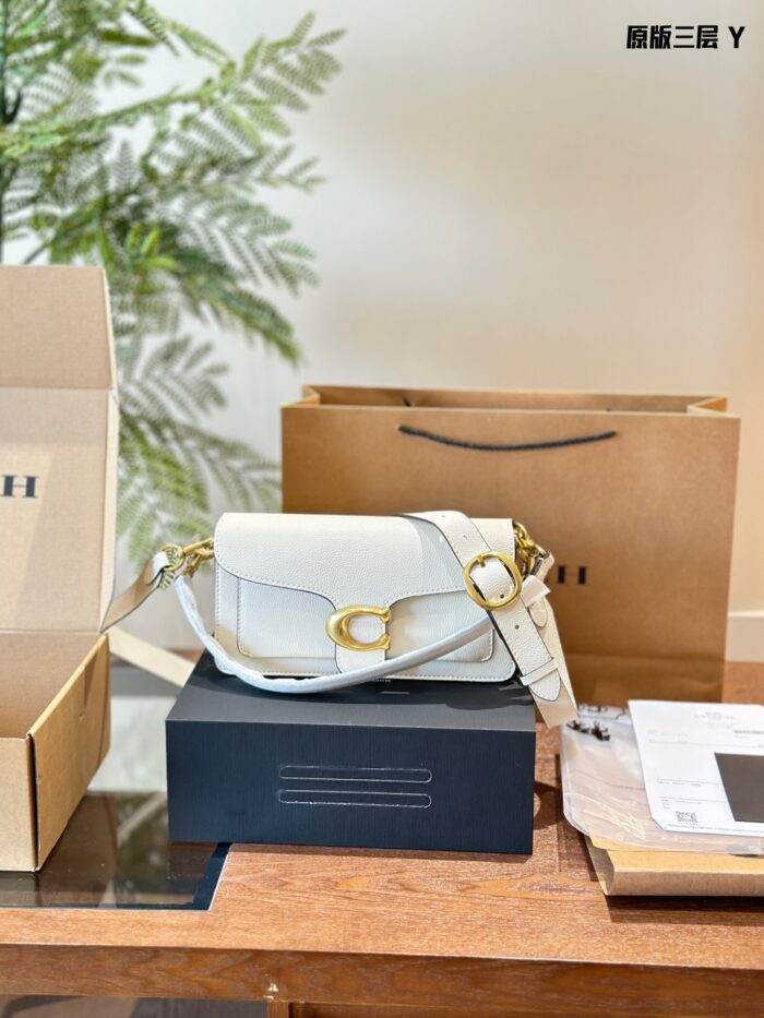 Coach Tabby Dionysus Bag: Minimalist, Sophisticated, Lightweight, Versatile - Image 2
