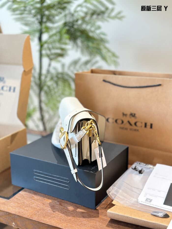 Coach Tabby Dionysus Bag: Minimalist, Sophisticated, Lightweight, Versatile - Image 3