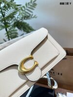 Coach Tabby Dionysus Bag: Minimalist, Sophisticated, Lightweight, Versatile - Image 5