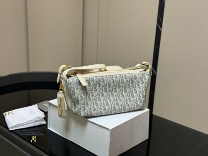 Dior Underarm Lunchbox Bag Light Blue & Beige Patchwork Versatile Elegance Clear Hardware, Clean Lining