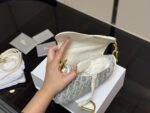 Dior Classic Monogram Saddle Bag With Roman Strap - Upgraded Version - Image 4