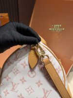 Louis Vuitton Pillow Bag Exquisite And Elegant Suitable For All Seasons - Image 9