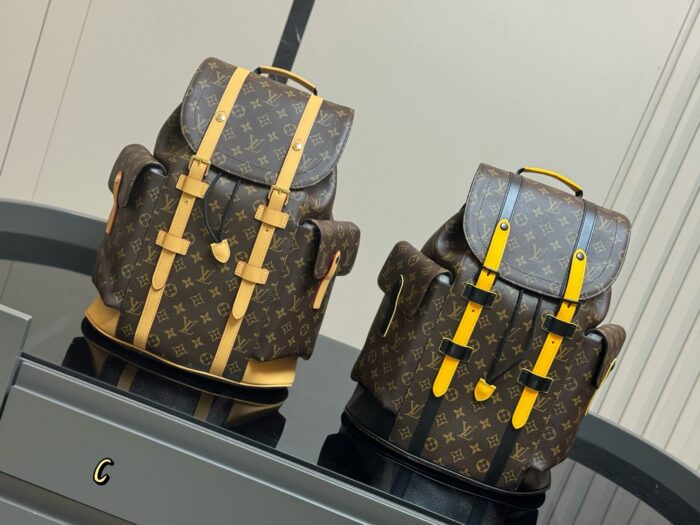 Louis Vuitton Classic Fabric Backpack Understated And Elegant Superb Texture - Image 2