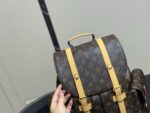 Louis Vuitton Classic Fabric Backpack Understated And Elegant Superb Texture - Image 3