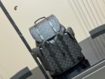 Louis Vuitton Classic Fabric Backpack Understated And Elegant Superb Texture - Image 13