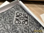Loewe Cashmere Scarf Delicate Colour Palette Soft And Comfortable Comes With Box - Image 8