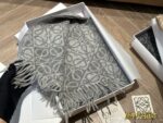 Loewe Cashmere Scarf Delicate Colour Palette Soft And Comfortable Complete With Gift Box - Image 3