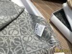 Loewe Cashmere Scarf Delicate Colour Palette Soft And Comfortable Complete With Gift Box - Image 7