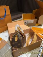 Louis Vuitton Speedy Nano Pillow Bag Full Metal Hardware Accommodates Iphone 16 Pro Variable Code Chip - Image 3