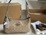 Coach Teri Replica Underarm Bag - Upgraded Hardware - Dual Shoulder Straps - Single Shoulder Or Crossbody Wear