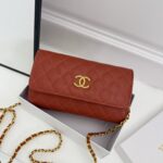 Chanel Classic Quilted Double C Chain Bag - Image 3